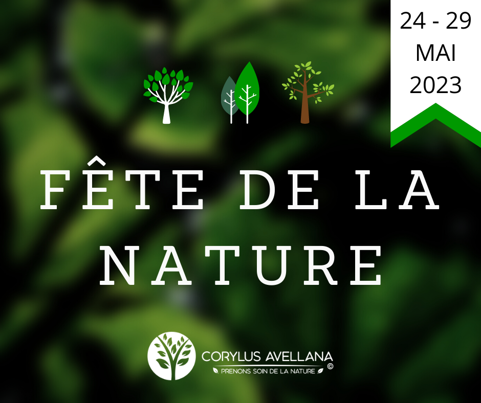 Fe te de la nature site web 
