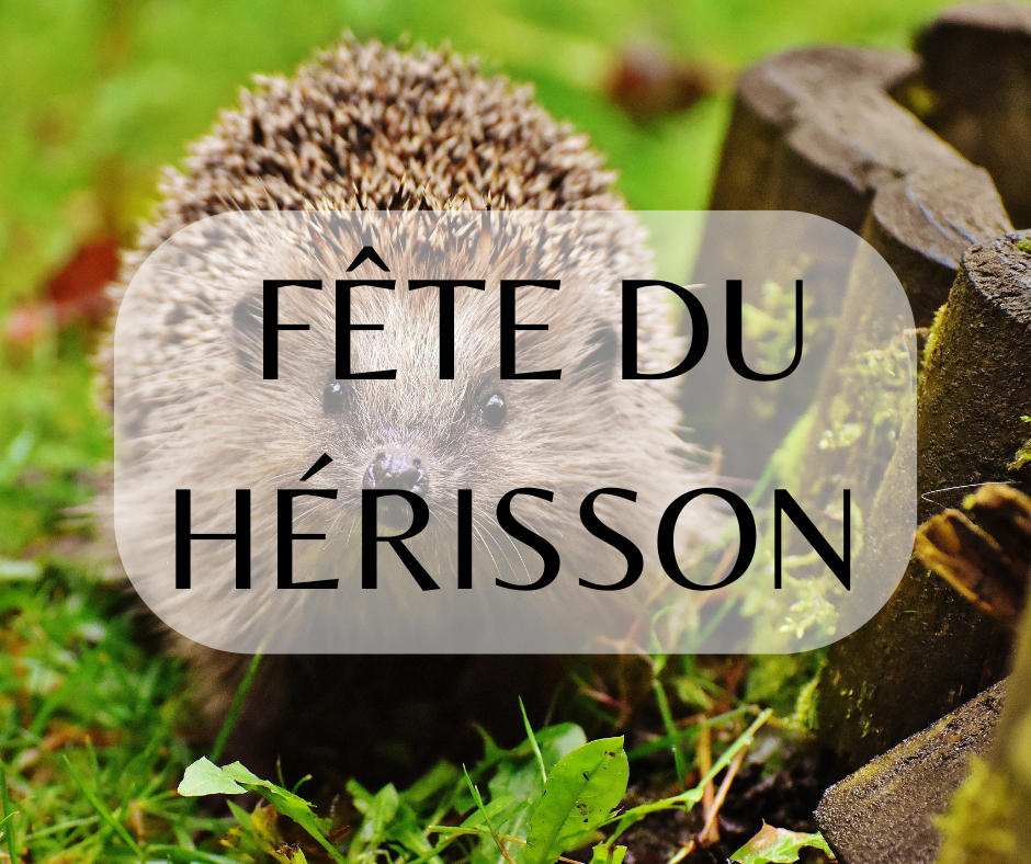 Fe te du he risson