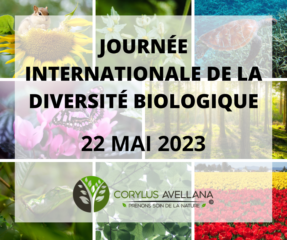 Journe e internationale de la diversite biologique