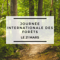 Journee internationale des foret site web evenement 1 