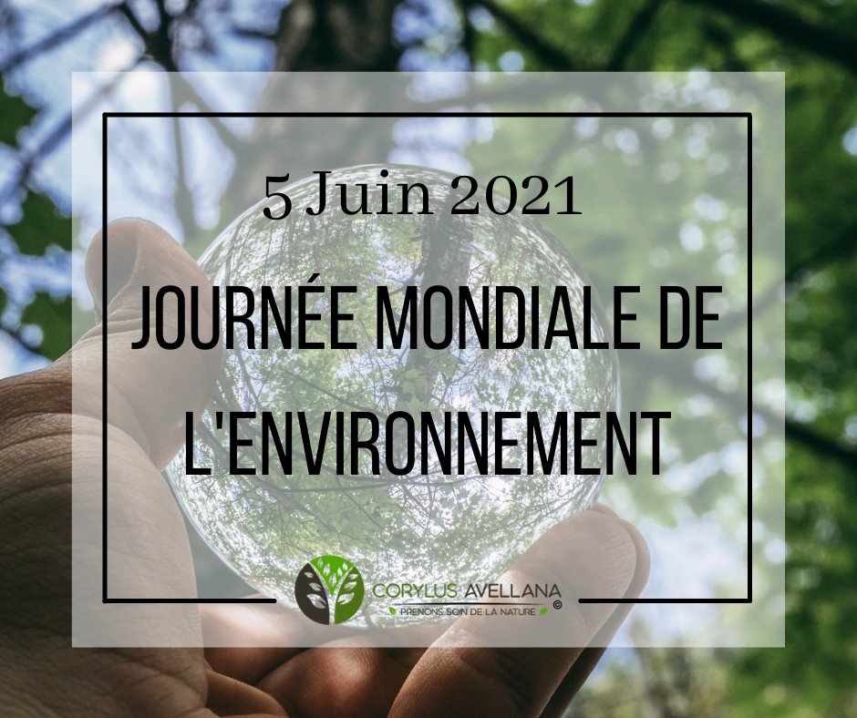 Journee mondiale de l environnement intro site