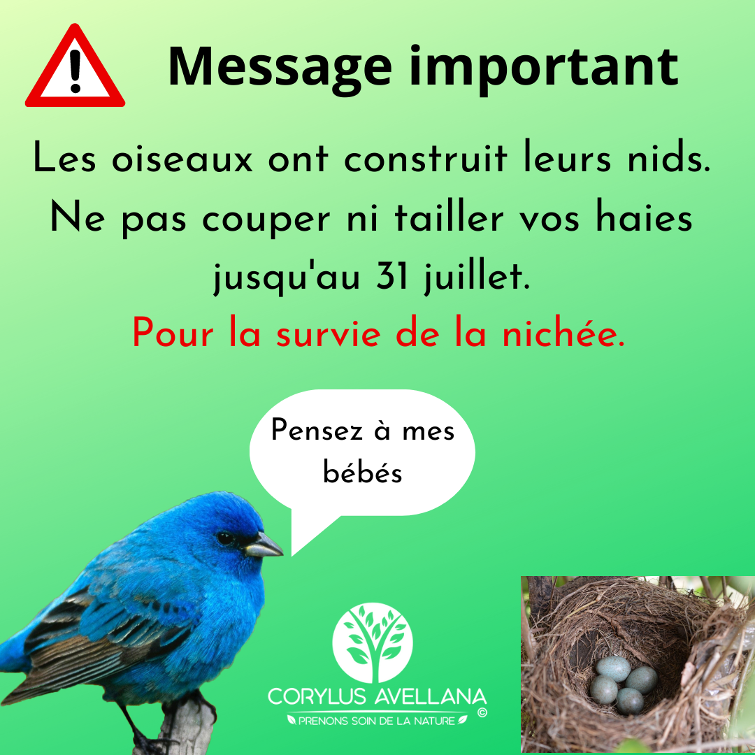 Message important